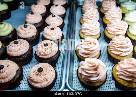 Orlando Florida, Pom Pom's Teehaus & Sandwicheria, Kaffeehaus, Café, Bäckerei, Cupcakes, Ausstellungsverkauf FL170222046 Stockfoto