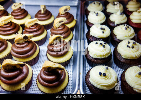 Orlando Florida, Pom Pom's Teehaus und Sandwicheria, Kaffeehaus, Café, Bäckerei, Cupcakes, Display-Verkaufsprodukt, Besucher reisen Reisetouristen Stockfoto