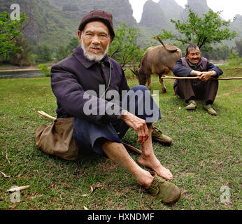YANGSHUO COUNTY, GUANGXI, CHINA - März 29: Ältere chinesische Hirten im grünen Detektive, grasen Rinder in der Nähe von dem Lijiang-Fluss, vor dem Hintergrund der Stockfoto