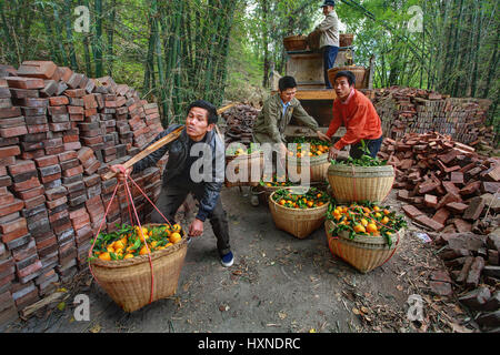 YANGSHUO, GUANGXI, CHINA - März 29: Obst-Geschäft in Südwest-China, 29. März 2010. Chinesische Bauern transportiert zwei Körbe mit Orangen, mit Stockfoto