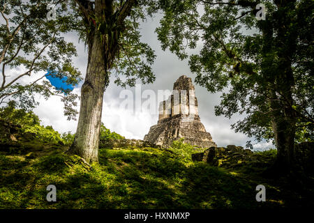 Oben auf der Maya-Tempel ich (Gran Jaguar) im Tikal National Park-Guatemala Stockfoto