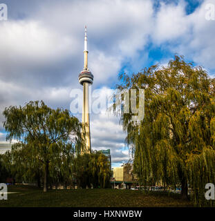 CN Tower zwischen der Vegetation des Harbourfront - Toronto, Ontario, Kanada Stockfoto