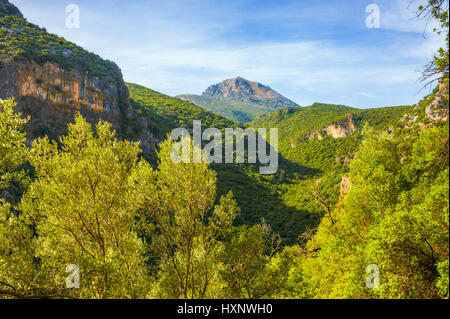 die Schlucht Garganta Verde, Naturpark Sierra de Grazalema; Andalusien, Spanien Stockfoto