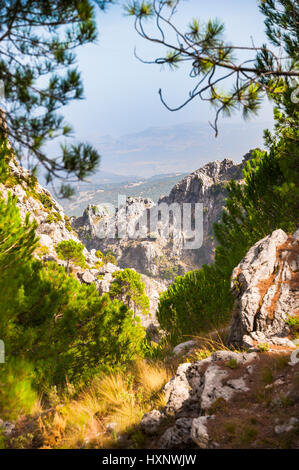 In der Sierra del Pinar in der Nähe von Grazalema anzeigen; Sierra de Grazalema Naturpark, Provinz Cádiz, Spanien Stockfoto