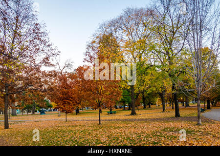 Im Herbst bunten Vegetation von Queens Park - Toronto, Ontario, Kanada Stockfoto