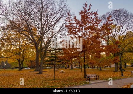 Im Herbst bunten Vegetation von Queens Park - Toronto, Ontario, Kanada Stockfoto