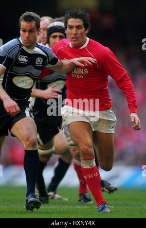 JAMES HOOK WALES & Fischadler MILLENNIUM Stadion CARDIFF WALES 9. Februar 2008 Stockfoto