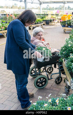 Eine ältere Dame im Rollstuhl Geschäfte mit ihrem Pfleger oder Assistent in einem dobbies Garden Center. Stockfoto
