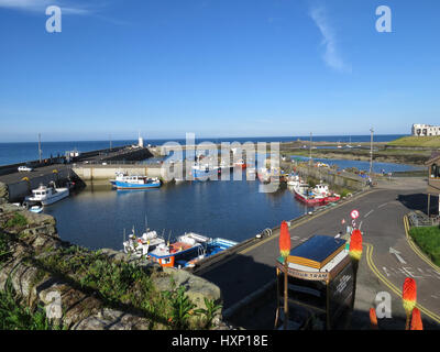 Blickte auf gemeinsame Harbour, Northumberland, UK Stockfoto