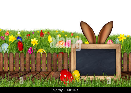 Easter Bunny Ohren hinter Wiese mit bunten dekoriert bemalte Eiern leeren Tafel hölzernen Steg Tulpen Narzissen auf weißem Hintergrund isoliert Stockfoto