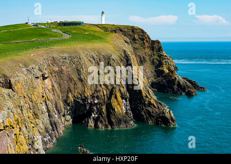 Klippen und der Leuchtturm am Mull of Galloway, Dumfries and Galloway, Schottland, Großbritannien Stockfoto