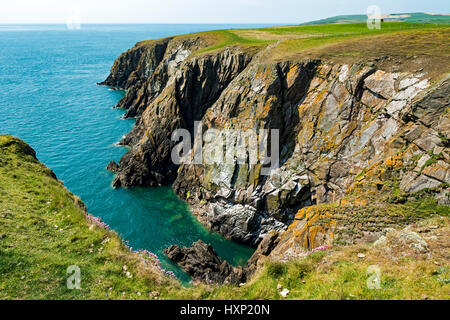 Klippen am Mull of Galloway, Dumfries and Galloway, Schottland, Großbritannien Stockfoto