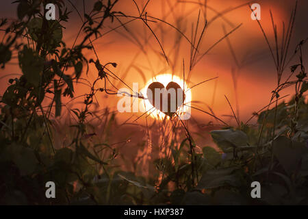 Sonnenuntergang in Campo Magro. Campo-Magro, in der Metropolitan Region Curitiba befindet sich im Nordwesten der Region. Stadt des Bundesstaates Paraná, Br Stockfoto