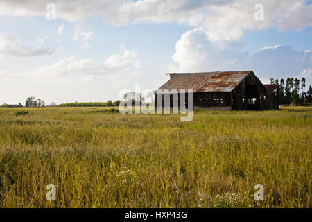 Old rustic country barn, with green grassy field and beautiful blue clouded sky Stockfoto