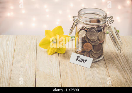 Geld jar Einsparungen motivationalen Konzept auf Holzbrett mit gelben Narzissen Blume Stockfoto