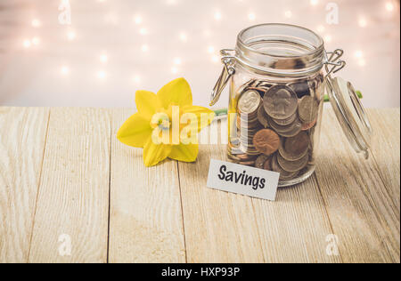 Geld jar Einsparungen motivationalen Konzept auf Holzbrett mit gelben Narzissen Blume Stockfoto