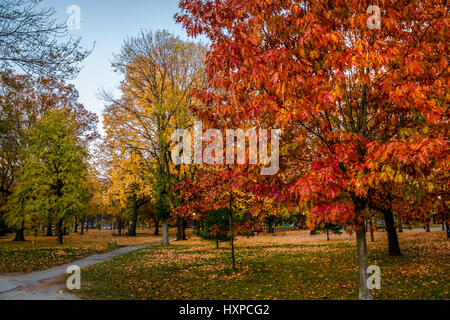 Im Herbst bunten Vegetation von Queens Park - Toronto, Ontario, Kanada Stockfoto