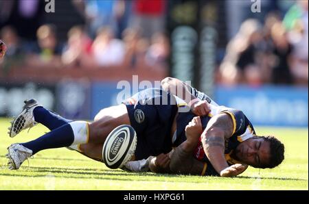 ALFIE TO'OALA LEEDS CARNEGIE RU HEADINGLEY CARNEGIE LEEDS ENGLAND 20. September 2009 Stockfoto