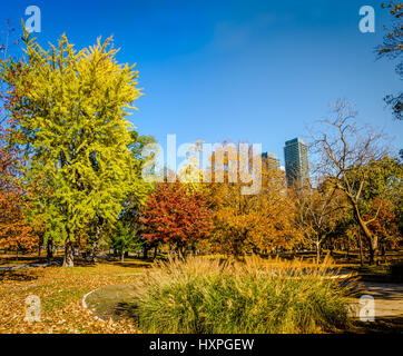 Im Herbst bunten Vegetation von Queens Park - Toronto, Ontario, Kanada Stockfoto