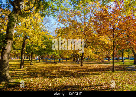 Im Herbst bunten Vegetation von Queens Park - Toronto, Ontario, Kanada Stockfoto