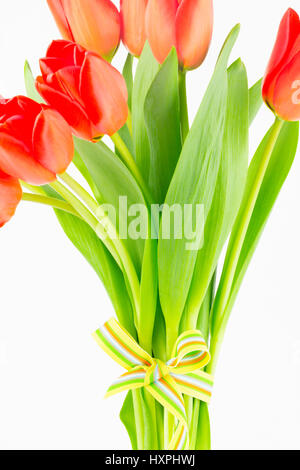 Nahaufnahme von Handtied Tulpe Brautstrauß mit Fokus auf Stängeln und Blättern. Konzeptbild mit Textfreiraum. Stockfoto