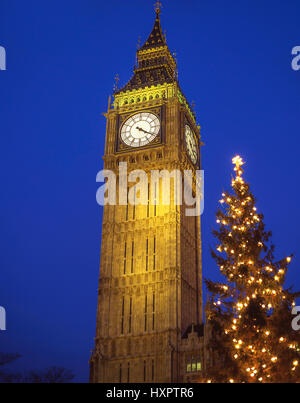 Big Ben Uhrturm bei Dämmerung und Weihnachtsbaum, City of Westminster, Greater London, England, Vereinigtes Königreich Stockfoto