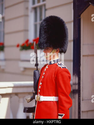 Irische Wache an Str. Jamess Palast, Pall Mall, City of Westminster, Greater London, England, Vereinigtes Königreich Stockfoto