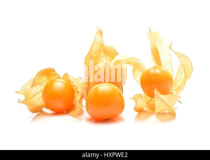 Physalis Frucht bekannt als chinesischer Lampion Stockfoto