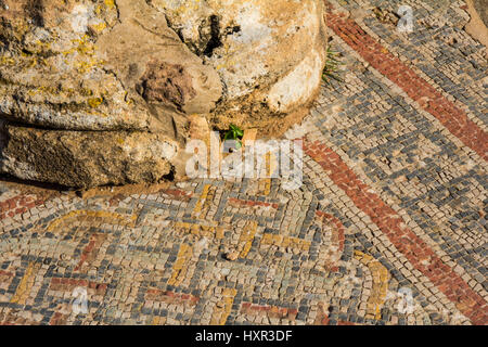 Detail einer römischen Säule und Mosaik im archäologischen Park Tipaza/Tipasa in Tipaza, Algerien. Stockfoto