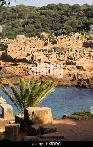 Tipaza oder Tipasa, war eine alte phönizische Handelsposten im 2BC, eines ihrer wichtigsten strategischen Grundlagen in Afrika werden von Rom erobert.  Heute, Tipaza Stockfoto