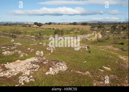 Landschaft in der Nähe von Torrejón el Rubio, Cáceres, Extremadura, Spanien, Europa Stockfoto