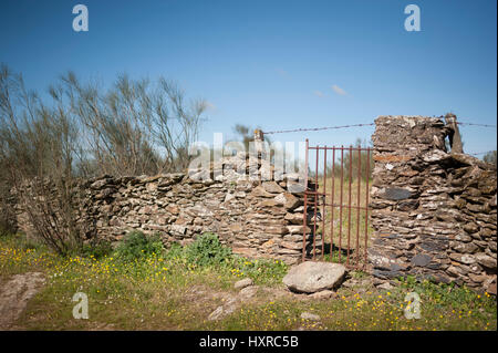 Landschaft in der Nähe von Torrejón el Rubio, Cáceres, Extremadura, Spanien, Europa Stockfoto