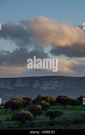 Torrejón el Rubio, Cáceres, Extremadura, Spanien, Europa Stockfoto