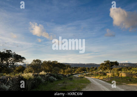 Cáceres, Extremadura, Spanien, Europa Stockfoto