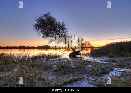 Sonnenuntergang an der Elbe in Kirchwerder, Hamburg, Deutschland, Europa, Raummotive an der Elbe in Kirchwerder, Deutschland, Europa Stockfoto