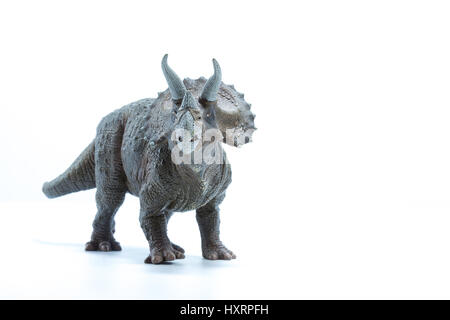 Triceratops Dinosaurier Spielzeug isoliert auf weißem Hintergrund - Vorderansicht Stockfoto