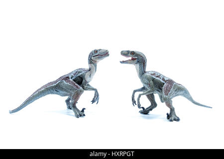 Zwei große Velociraptor Dinosaurier Spielzeug einander gegenüber isoliert auf weißem Hintergrund - Seitenansicht Stockfoto