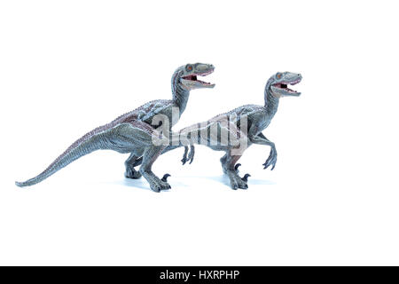 Zwei große Velociraptor Dinosaurier Spielzeug nebeneinander isoliert auf weißem Hintergrund - Seitenansicht Stockfoto