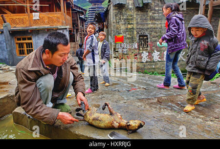 Zengchong Dorf, Guizhou, China - 13. April 2010: ländliche China, vor dem Essen Hund, Kadaver, Ausweiden, Zengchong Dorf, Guizhou, zerschneiden Stockfoto