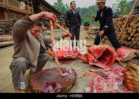 Zengchong Dorf, Guizhou, China - 12. April 2010: chinesische Bauern sind sortierte Schwein Innereien in Zengchong-Dong-Dorf, 12. April 2010. Ländlichen China. ASI Stockfoto