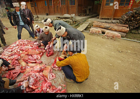 Zengchong Dorf, Guizhou, China - 12. April 2010: Verarbeitung von frischem Schweinefleisch, chinesische Bauern aus dem Dorf der ethnischen Minderheiten Zengchong Dong Vi Stockfoto