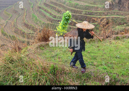 Yao Dorf Dazhai, Longsheng, Provinz Guangxi, China - 3. April 2010: Ackerland in der Landschaft von südwestlichem China, die Reis-Terrassen von Reis f Stockfoto
