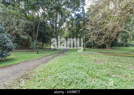 Ho'omaluhia Botanischer Garten auf der windzugewandten Seite von Oahu hawaii Stockfoto