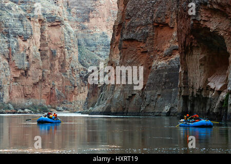 Sparren in Marble Canyon, Grand Canyon National Park, Arizona, Vereinigte Staaten von Amerika. Stockfoto