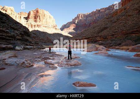 Sparren an der Mündung des Little Colorado River im Grand Canyon National Park im US-Bundesstaat Arizona. Stockfoto