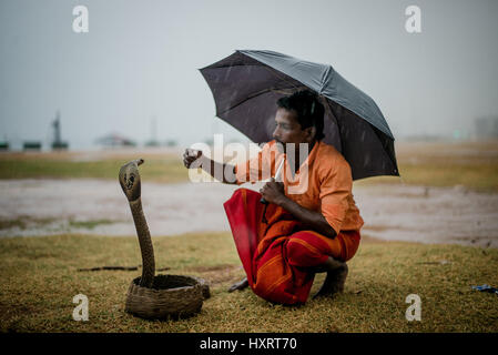 Ein Schlangenbeschwörer in Colombo, Sri Lanka, die darauf warten, Passanten kaufen gegen eine geringe Gebühr zu unterhalten.  Die Schlange ist eine Kobra. Stockfoto