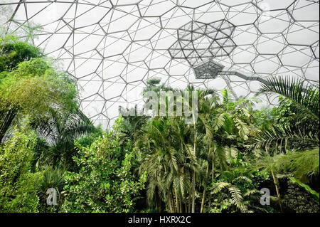 Eden Project tropischen Biom Umgebung in der Nähe von St Austell, UK am 15. September 2011 Stockfoto