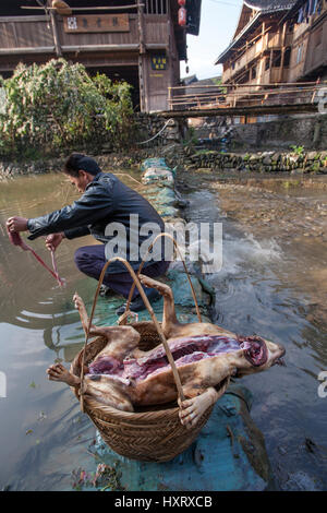 Zhaoxing Dong Dorf, Guizhou Provinz, China - 8. April 2010: Asiatischer Mann den Hund am Ufer eines Flusses ländlichen entkernt und steckte es in einen großen Korb b Stockfoto