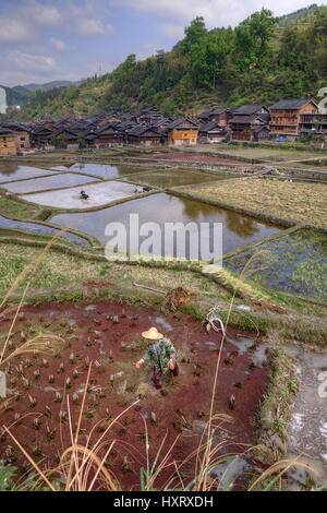 Zhaoxing Dong Dorf, Guizhou Provinz, China - 8. April 2010: Landwirte arbeiten in den Reisfeldern während der Morgenstunden im Frühling in der Nähe von der ethn Stockfoto