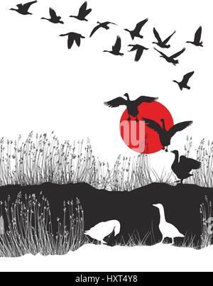 Gänse bei Sonnenuntergang Stock Vektor